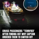 Cruise Passengers Were Told to Turn Off Their Lights and Shut Curtains — The Real Reason Left Everyone Speechless