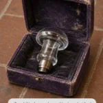 Any idea what kind of machine or device it belonged to?