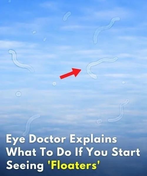 The Emotional Safety of Predictable Routines