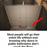 The Real Reasons Public Bathroom Doors Don’t Reach the Floor
